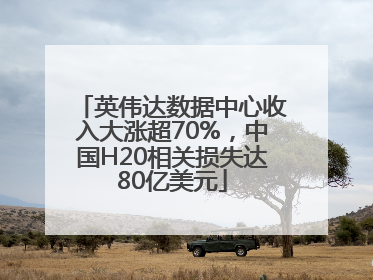 英伟达数据中心收入大涨超70%，中国H20相关损失达80亿美元
